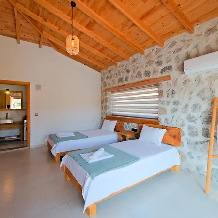Villa Mono 1 *